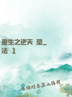 重生之逆天盜圣