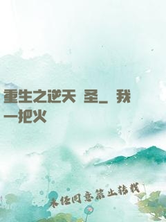 重生之逆天盜圣