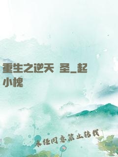 重生之逆天盜圣