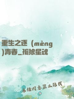 重生之逐夢(mèng)青春