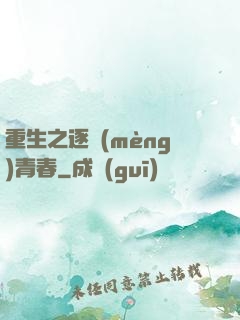 重生之逐夢(mèng)青春
