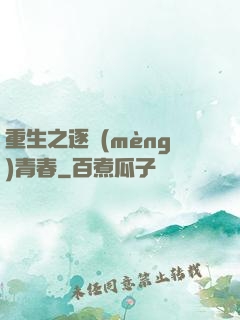 重生之逐夢(mèng)青春