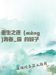 重生之逐夢(mèng)青春