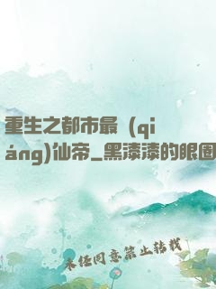 重生之都市最強(qiáng)仙帝