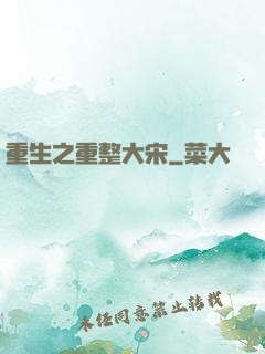 重生之重整大宋