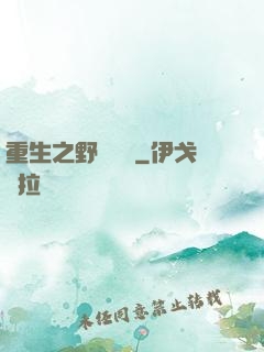 重生之野蠻盜賊