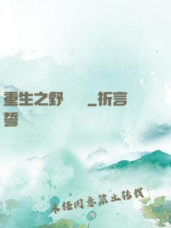 重生之野蠻盜賊