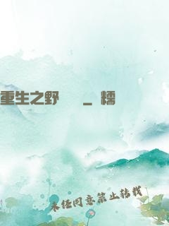 重生之野蠻盜賊
