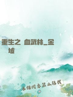 重生之鐵血武林