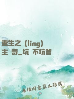 重生之領(lǐng)主傳奇