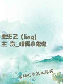 重生之領(lǐng)主傳奇
