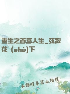 重生之首富人生
