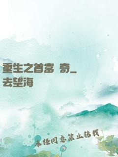 重生之首富傳奇