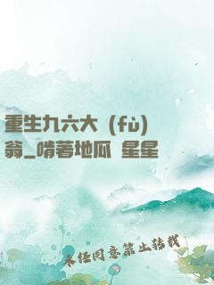 重生九六大負(fù)翁