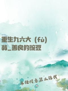 重生九六大負(fù)翁