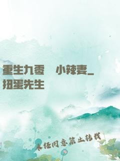 重生九零財運小辣妻