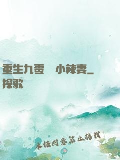 重生九零財運小辣妻