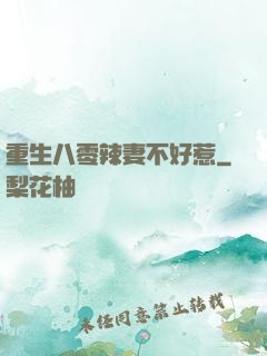 重生八零辣妻不好惹