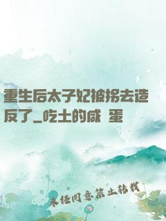 重生后太子妃被拐去造反了
