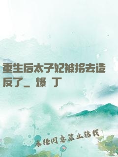 重生后太子妃被拐去造反了