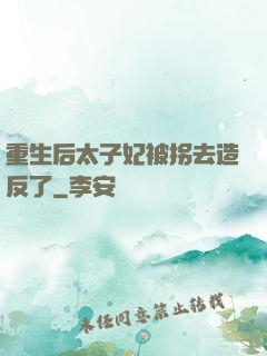 重生后太子妃被拐去造反了
