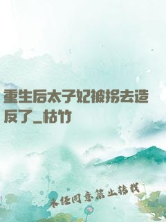 重生后太子妃被拐去造反了