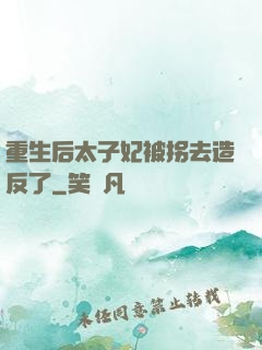 重生后太子妃被拐去造反了