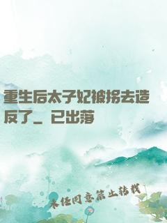 重生后太子妃被拐去造反了