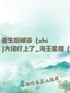 重生后被偏執(zhí)大佬盯上了