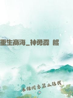 重生商海