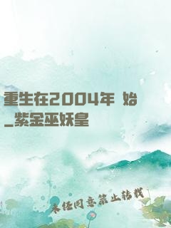 重生在2004年開始