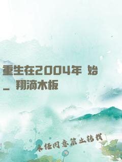 重生在2004年開始