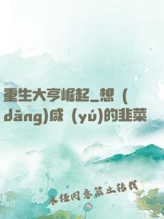 重生大亨崛起