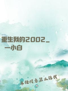 重生我的2002