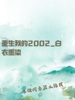 重生我的2002
