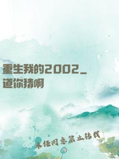重生我的2002