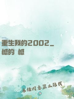 重生我的2002