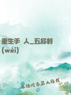重生手藝人