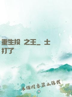 重生投資之王