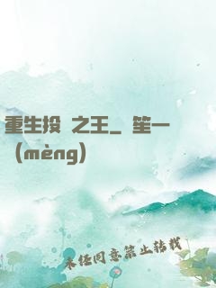 重生投資之王