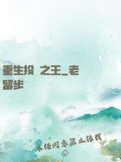重生投資之王
