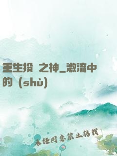 重生投資之神
