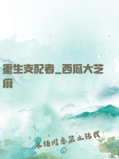 重生支配者
