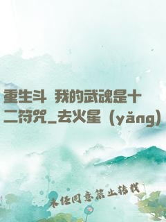 重生斗羅我的武魂是十二符咒
