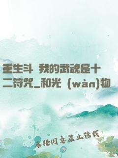 重生斗羅我的武魂是十二符咒