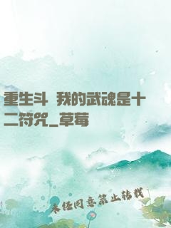 重生斗羅我的武魂是十二符咒