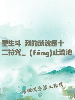重生斗羅我的武魂是十二符咒