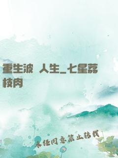 重生波瀾人生