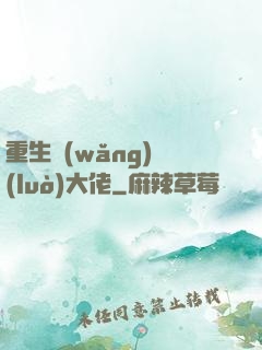 重生網(wǎng)絡(luò)大佬
