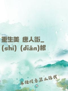 重生美國唐人街
